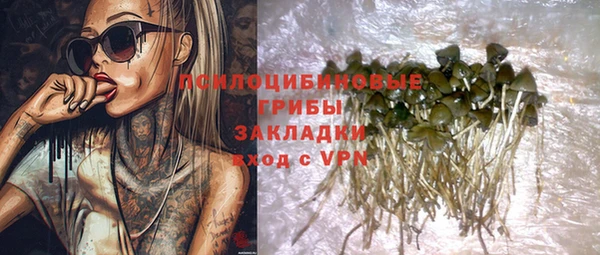 винт Аркадак